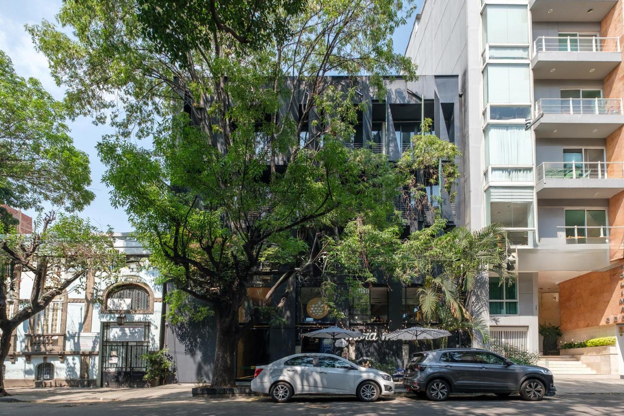 Boga Mexico City By Lumina Extérieur photo